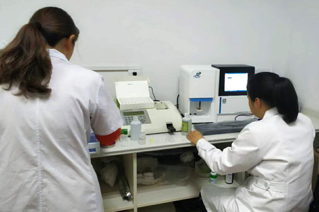 北京新羞羞的视频生物介绍哪些食物能清热祛湿？