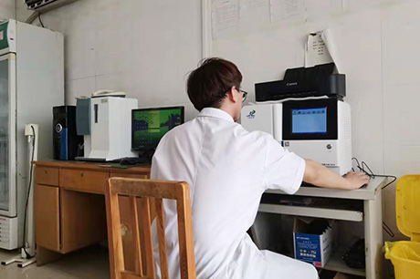 羞羞的视频生物介绍缺锌导致儿童发育不良